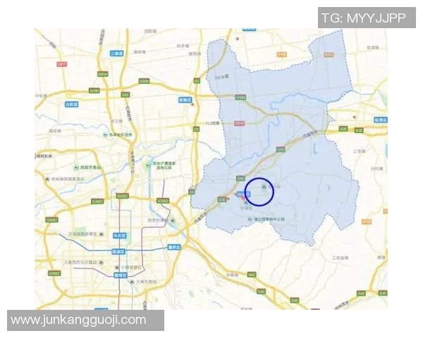 西安篮球队近期状态深度对比与分析探讨