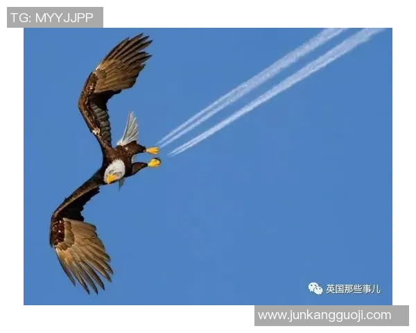 足球明星合照头像男士精选展示展现球场魅力与风采的完美瞬间 足球明星合照头像男士精选展示展现球场魅力与风采的完美瞬间